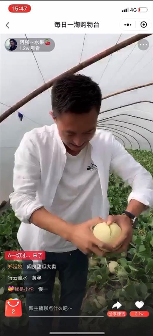 吃瓜电商团队,揭秘网络购物背后的秘密与乐趣